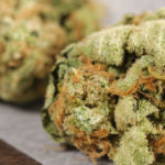 Breaking News: New Hampshire Legalizes Medical Marijuana
